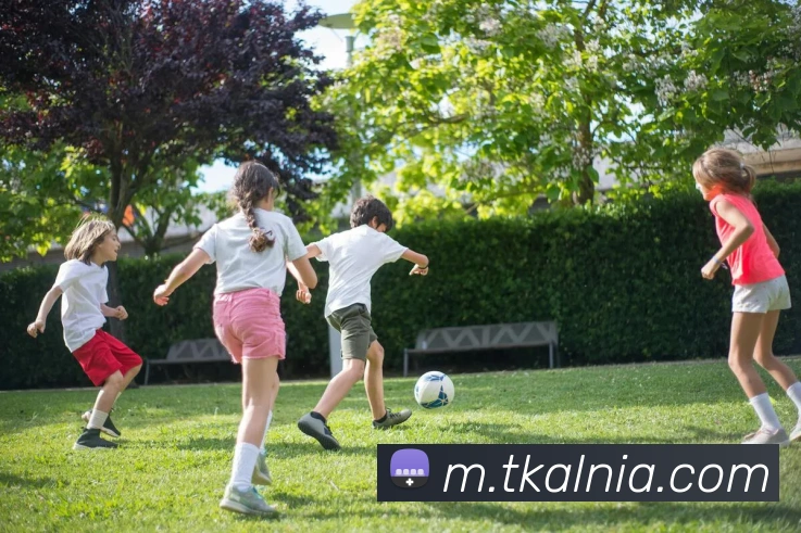 KAIYUNSPORTS官网APP 封面图
